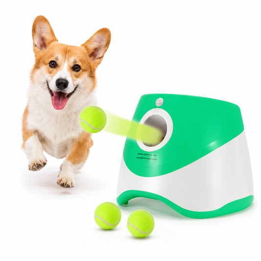 Waggo FetchBot – Effortless Playtime